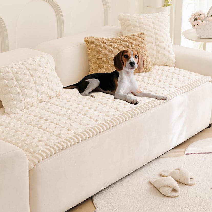 Tiwwie Couch Cover 