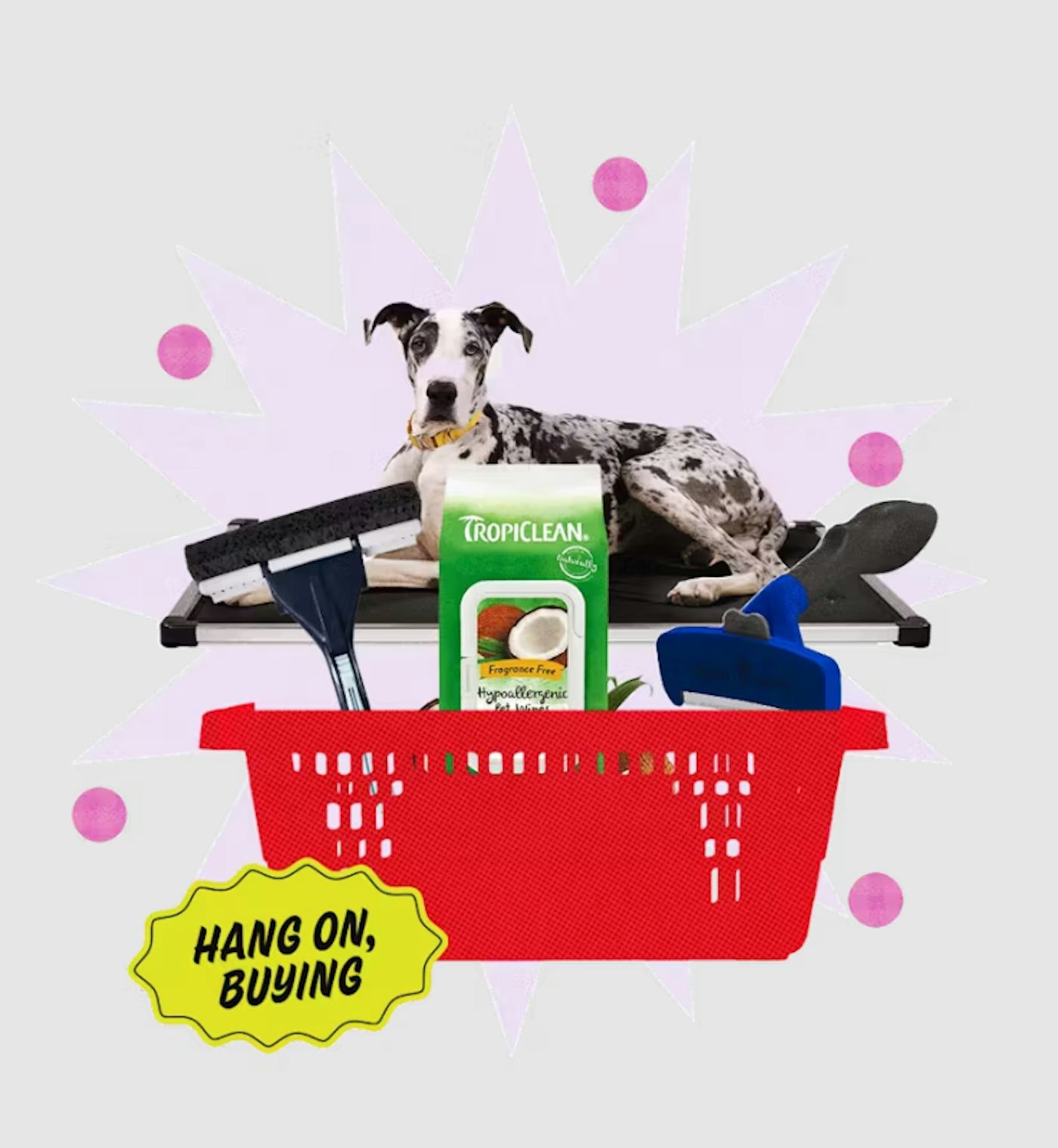 8 Dog Products To Keep Your Home Fur-Free