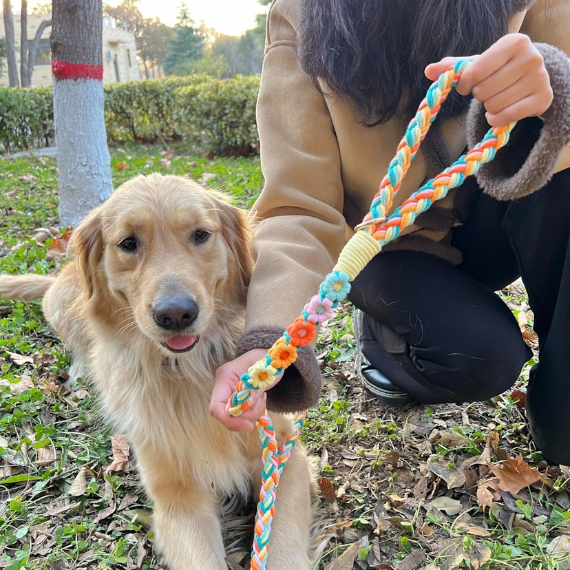 Panda Jianghu Braided Cotton Dog Leash