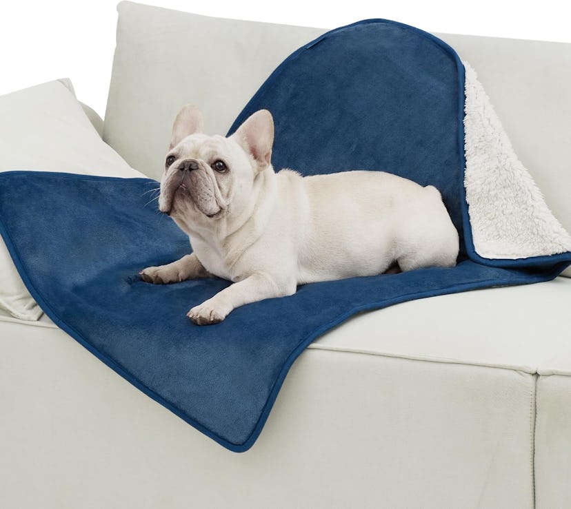 Bedsure Waterproof Fleece Pet Blanket 