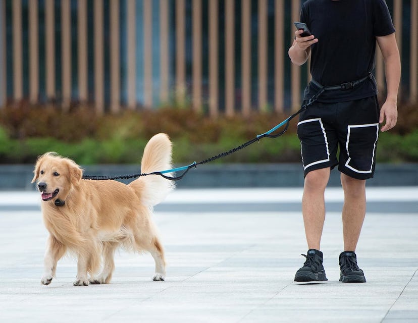 iYoShop Retractable Hands Free Dog Leash 