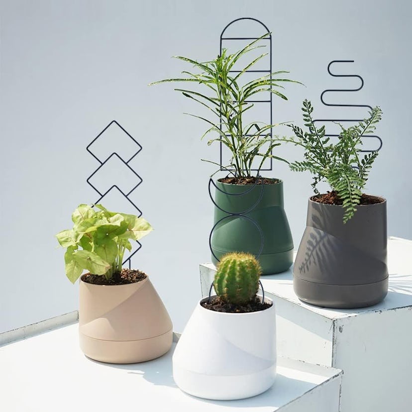 Wellsign Indoor Plant Trellis (4-Pack)
