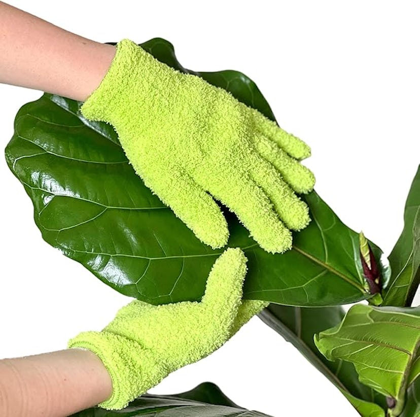 Bless Your Soil Plant Microfiber Dusting Gloves