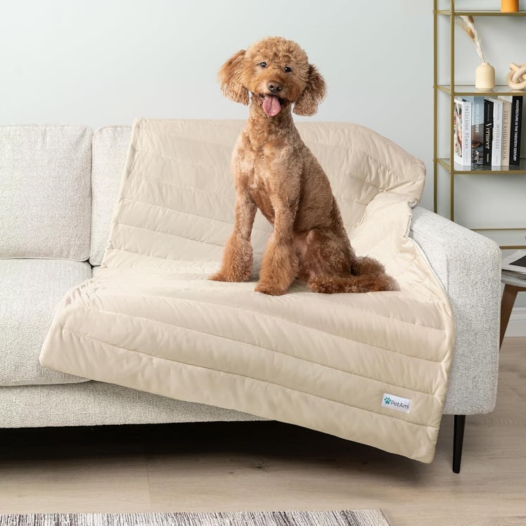 PetAmi Cooling Mat 