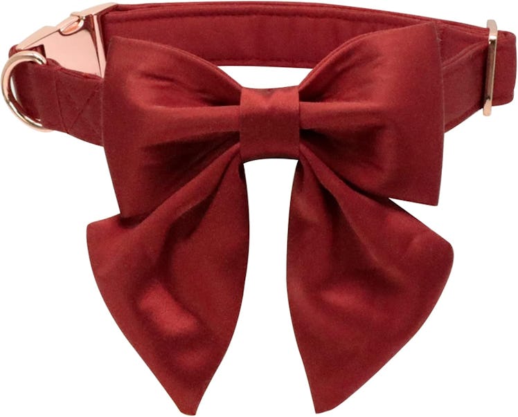 Lionet Paws Bowtie Dog Collar
