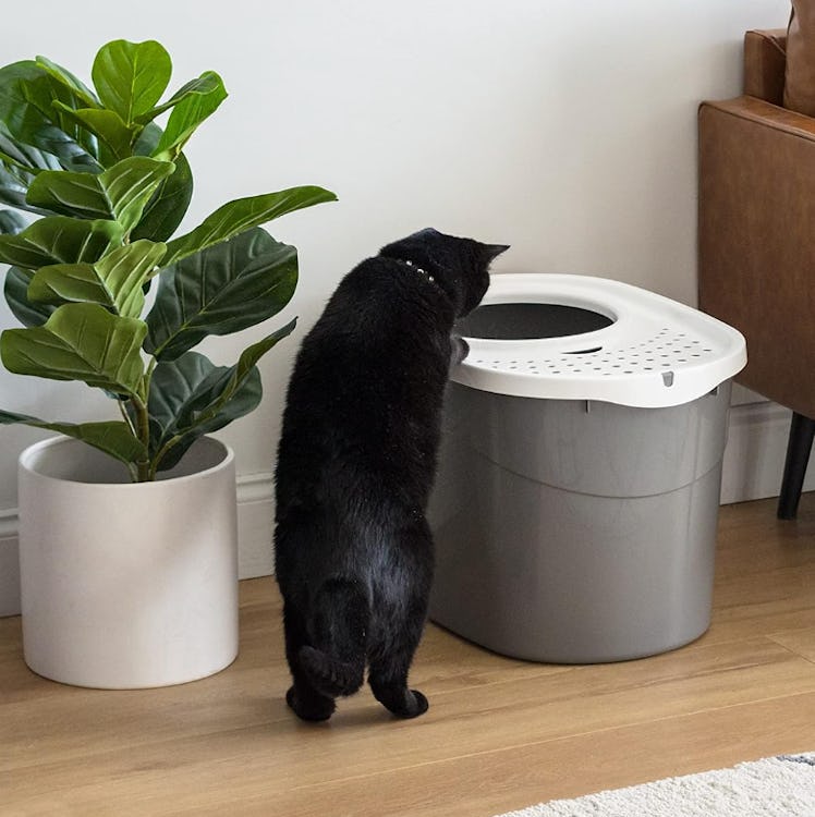 IRIS USA Top Entry Cat Litter Box