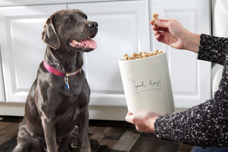Pearhead Good Dog Treat Jar