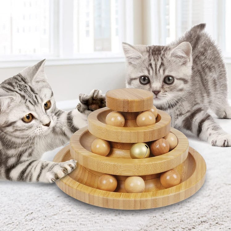 DoogCat Cat Ball Track Toy