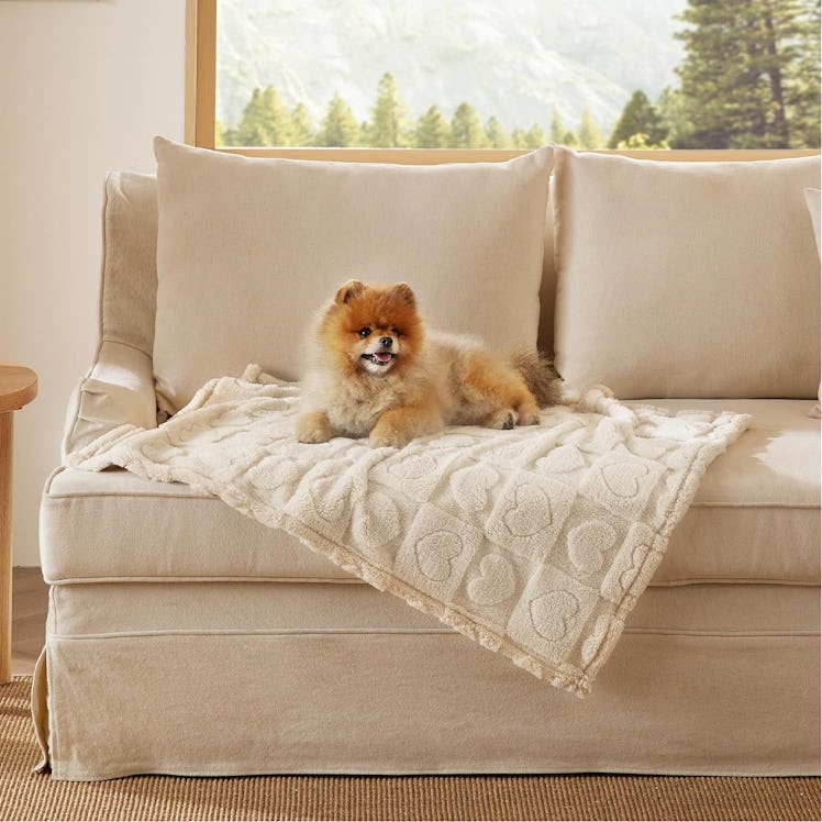 Bedsure Dog Blanket