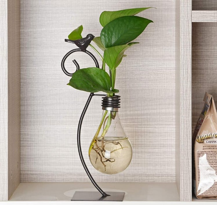 Marbrasse Desktop Glass Planter 