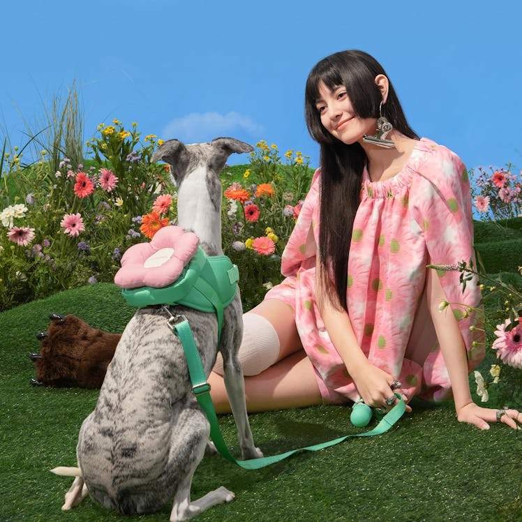 VETRESKA Flora Dog Harness