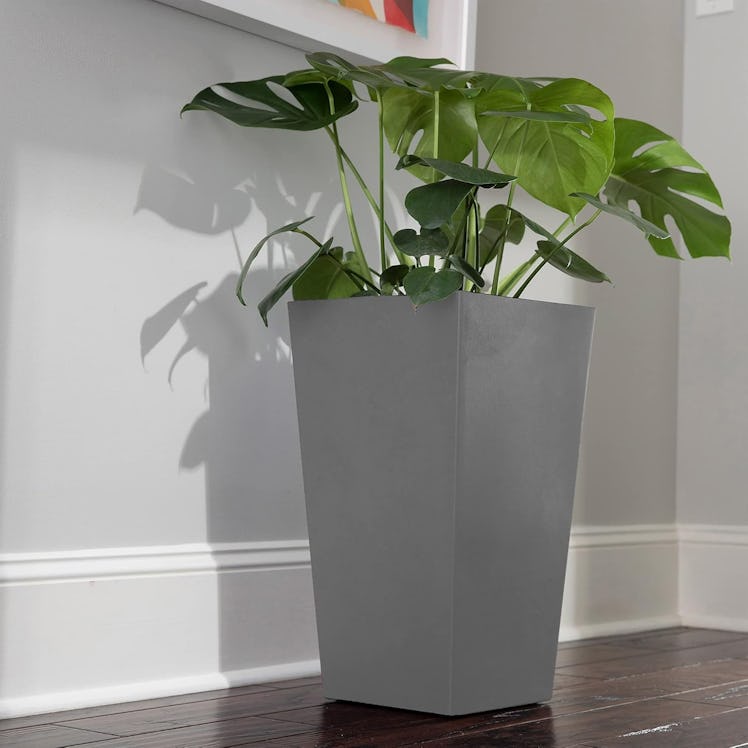 Bloem Tall Finley Tapered Square Planter