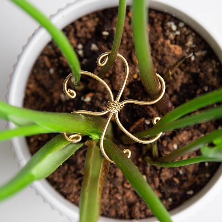 Goooxim Monstera Plant Stem Support