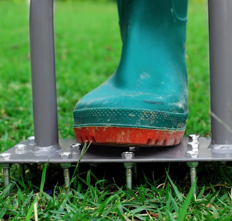Walensee Lawn Aerator