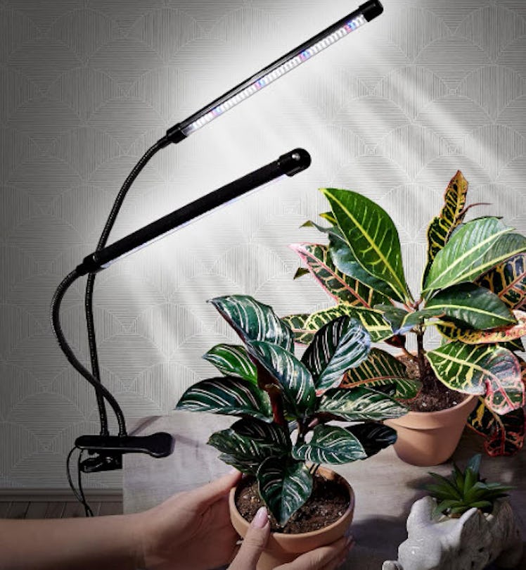 Bloom Lume LED Grow Lights