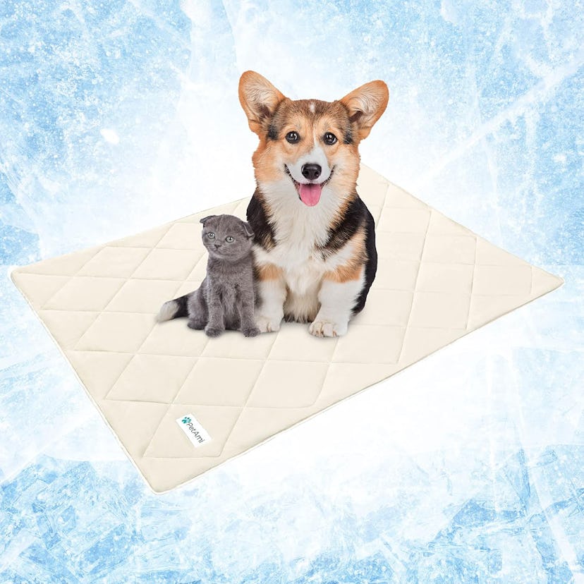 PetAmi Cooling Dog Blanket