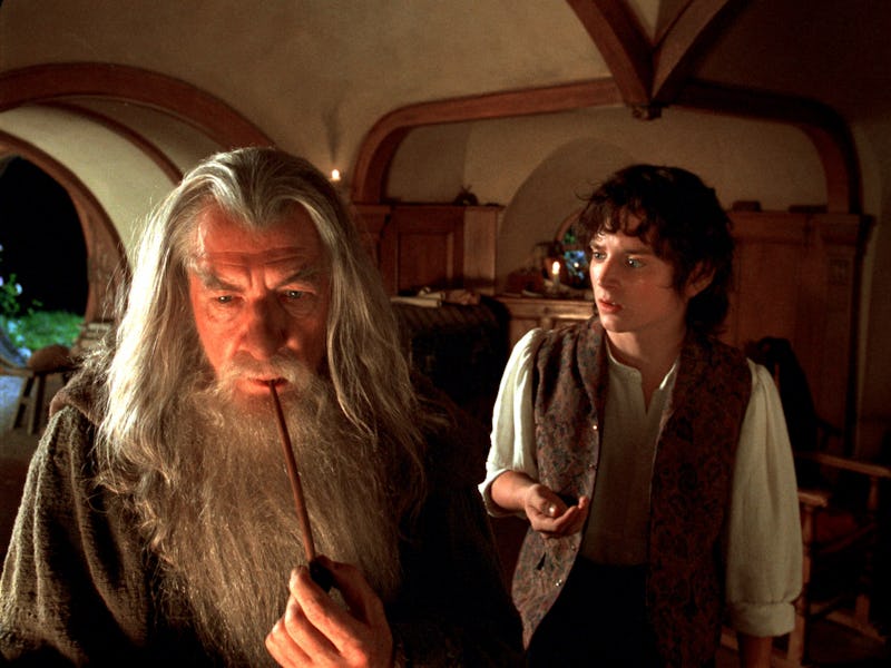 Ian McKellen as Gandalf the Gray and Elijah Wood as Frodo Baggins in The Lord of the Rings: The Fell...