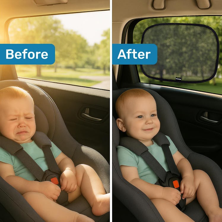 Enovoe Car Window Shades (2-Pack)