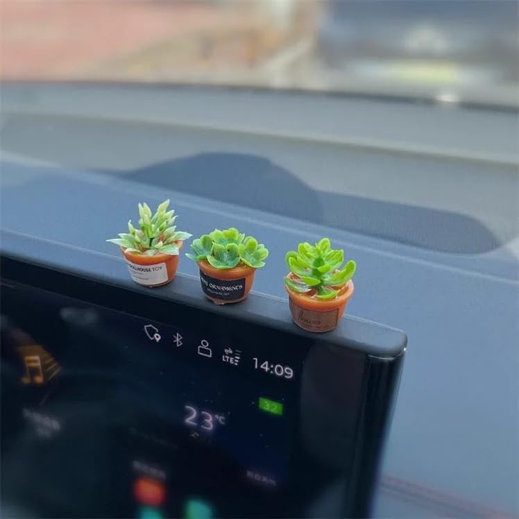 Wyuoot Mini Succulent Dashboard Decor (3-Pack)