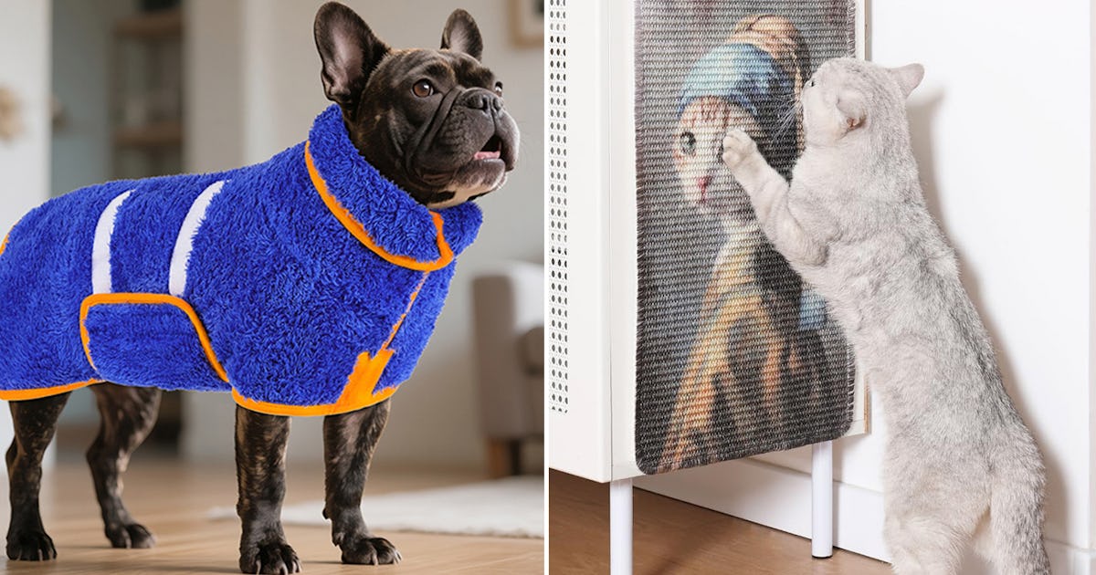 The 55 Dopest Things for Cats & Dogs You Never Knew Existed