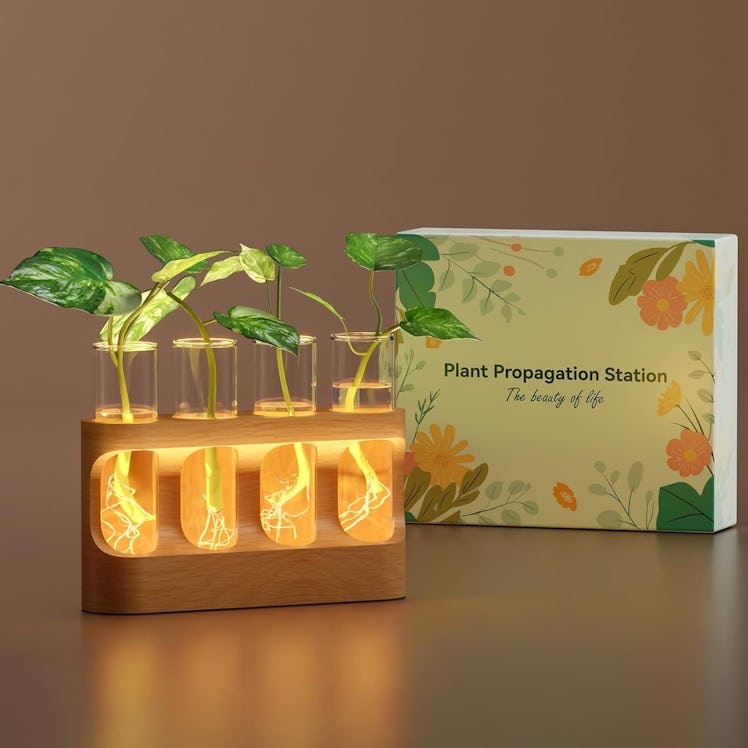 Lightalent LED Plant Propagation Station