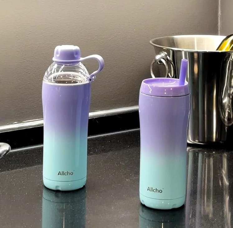 Allcho Insulated Water Bottle