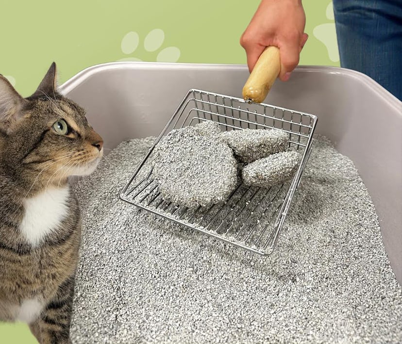 Sprinkle & Sweep Metal Cat Litter Scoop