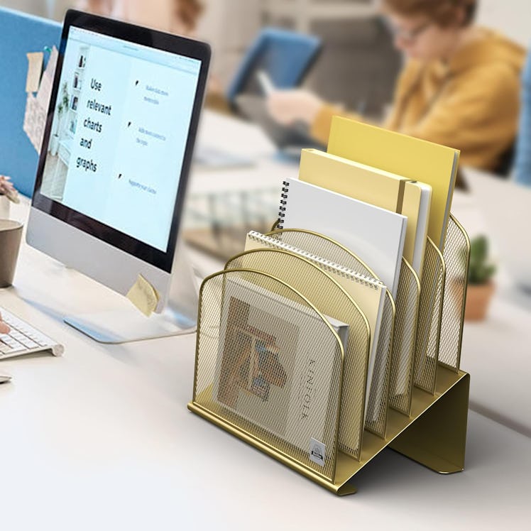 Delifox Inclined Desk File Organizer
