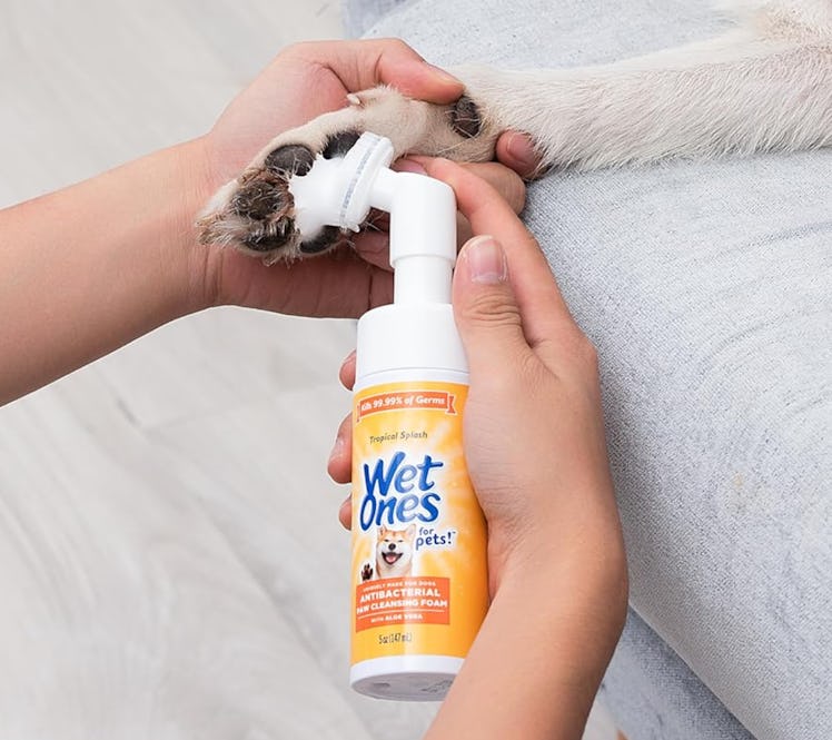 Wet Ones Antibacterial Paw Cleaner
