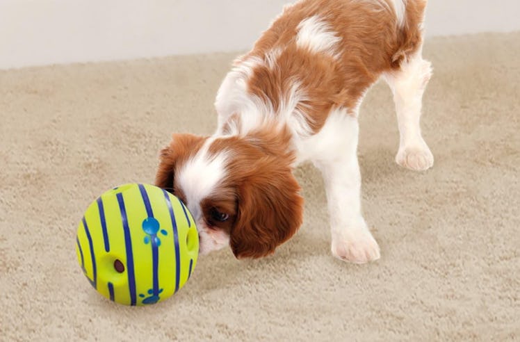 Wobble Wag Giggle Ball 
