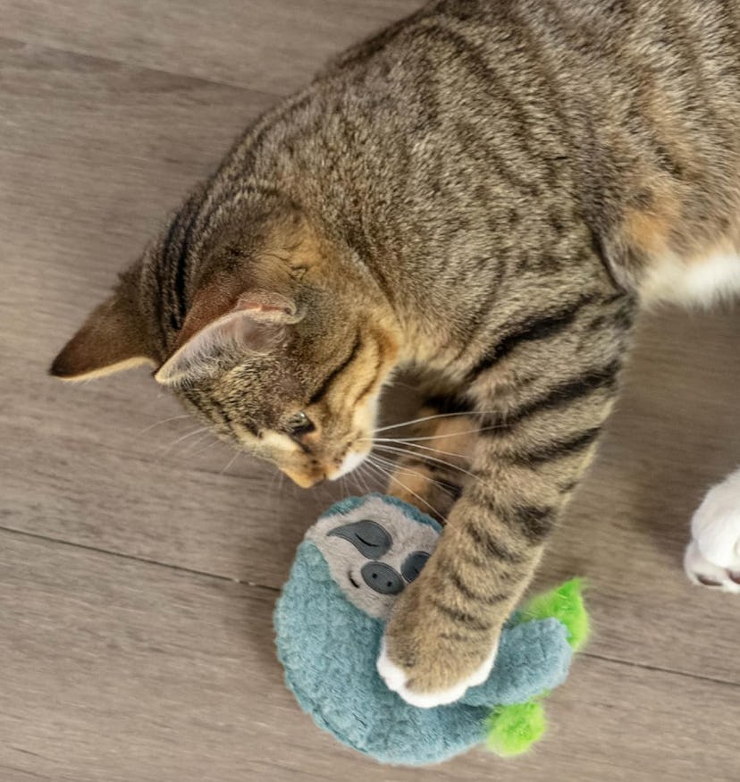  Catstages Purr Pillow Sloth Calming Cat Toy