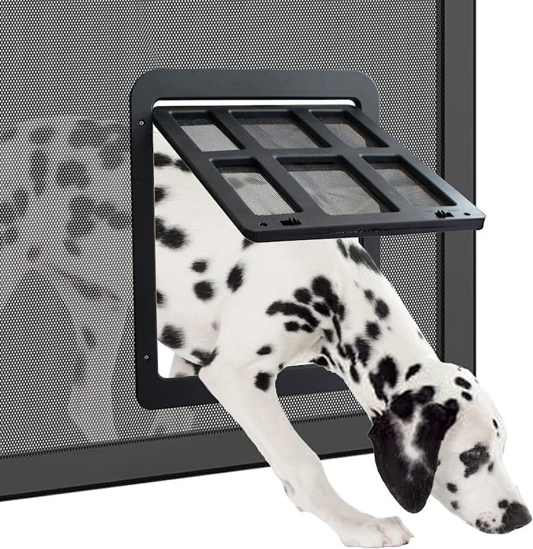 Enjoying Screen Dog Door 