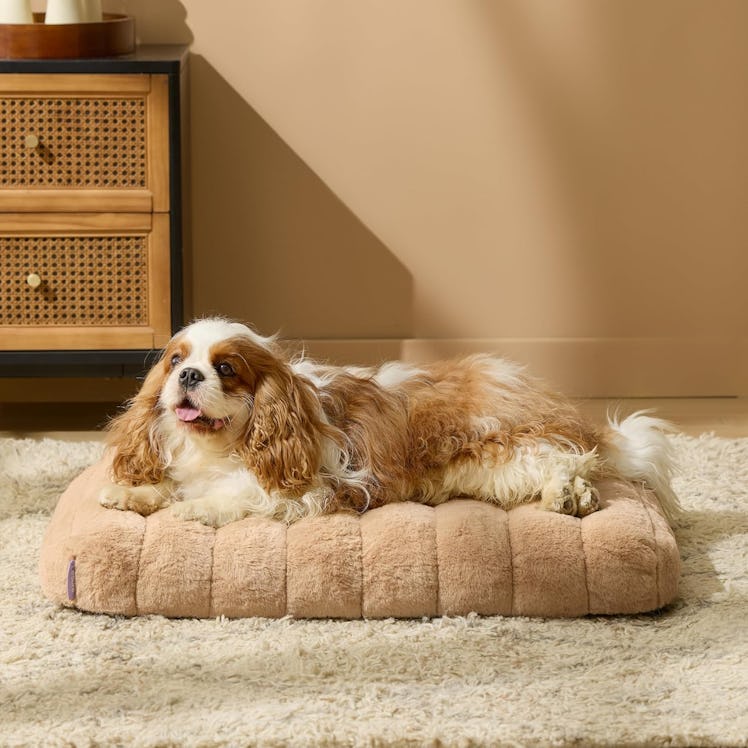LE SURE Orthopedic Dog Bed 
