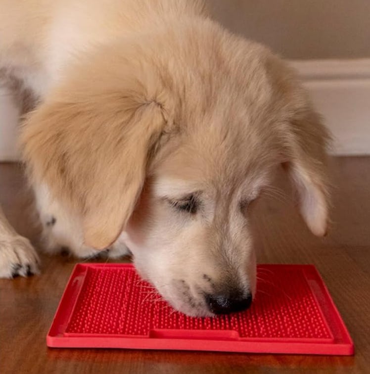 LickiMat Slow Feeder Mat