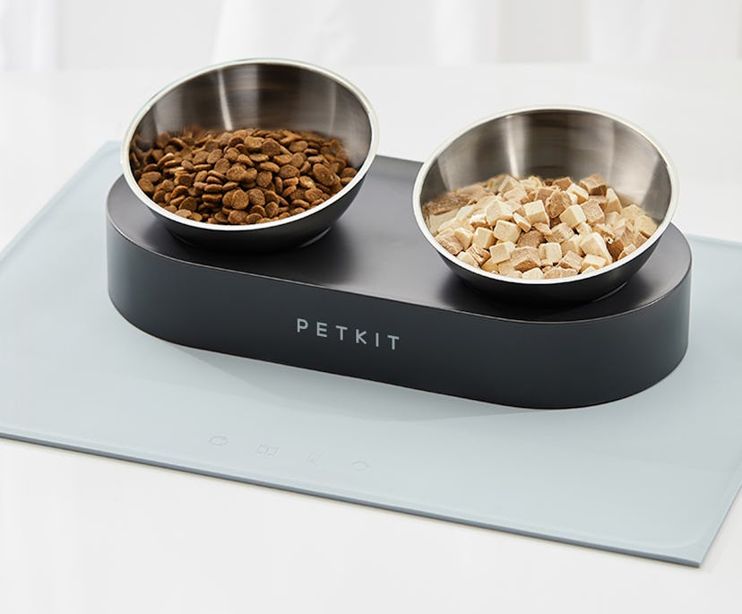 PETKIT Raised Pet Food Bowls