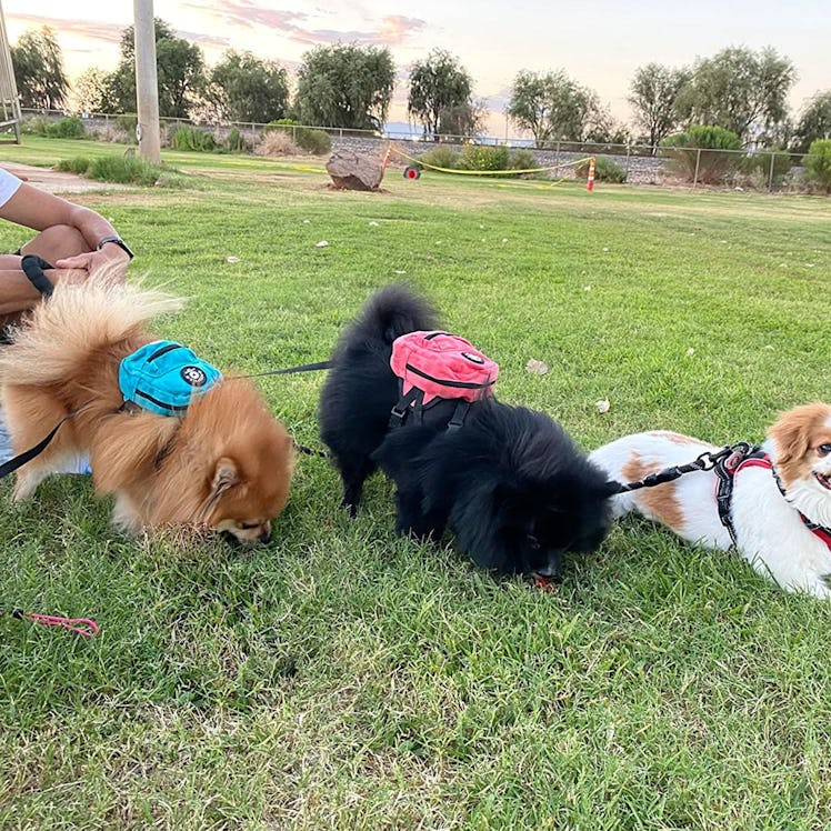FLAdorepet Dog Backpack Harness