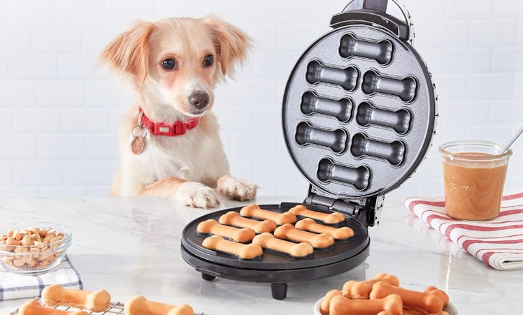 DASH Dog Treat Maker