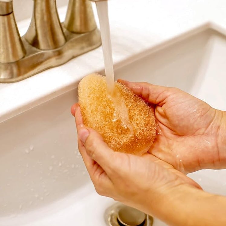  IMPRESA Face Scrubber Exfoliator Sponges (10-Pack)