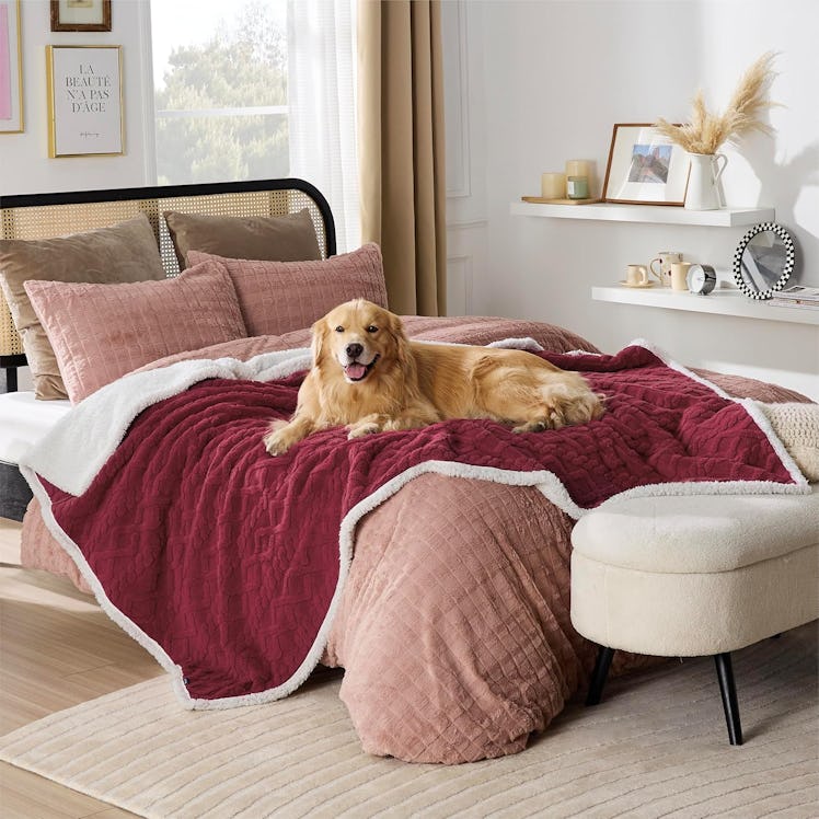 Bedsure Waterproof Dog Blanket