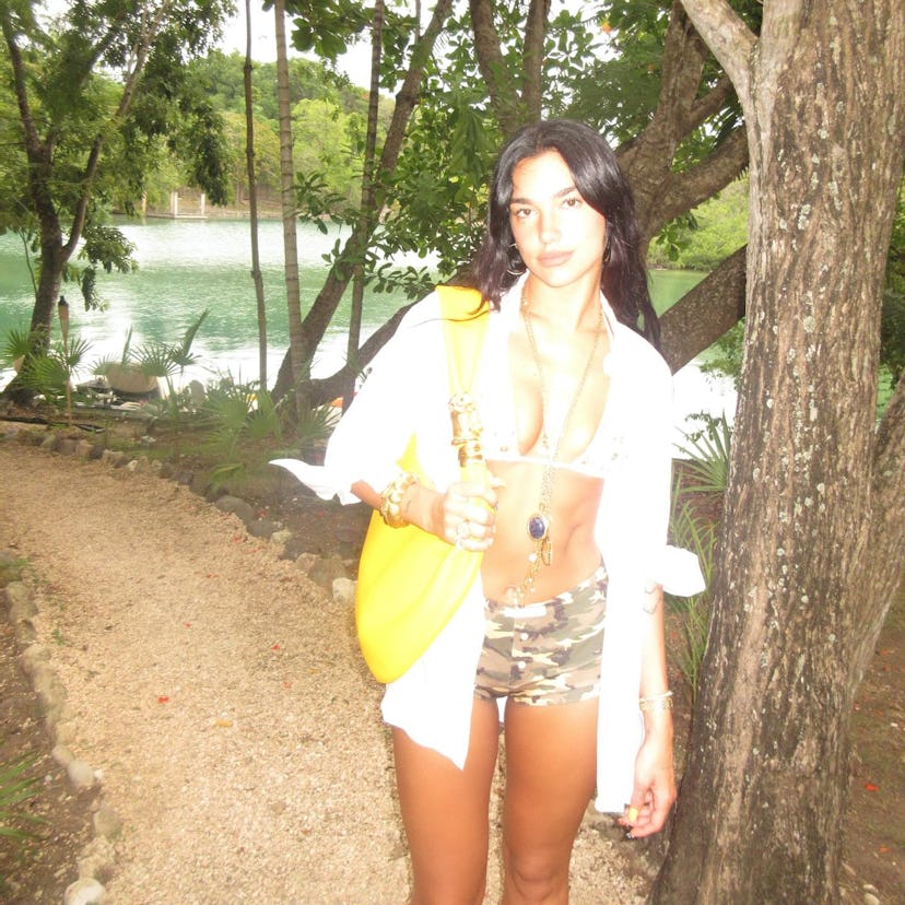 Dua Lipa wears a bikini.