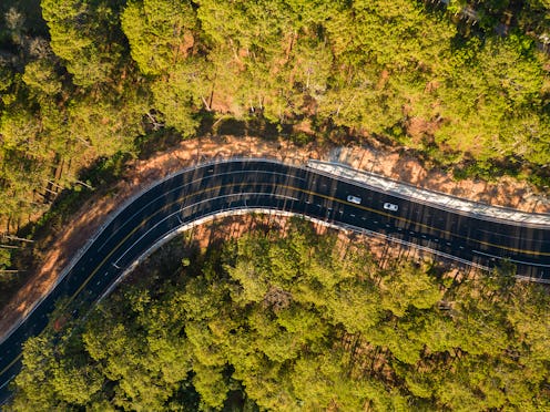 A road curves through a forest.