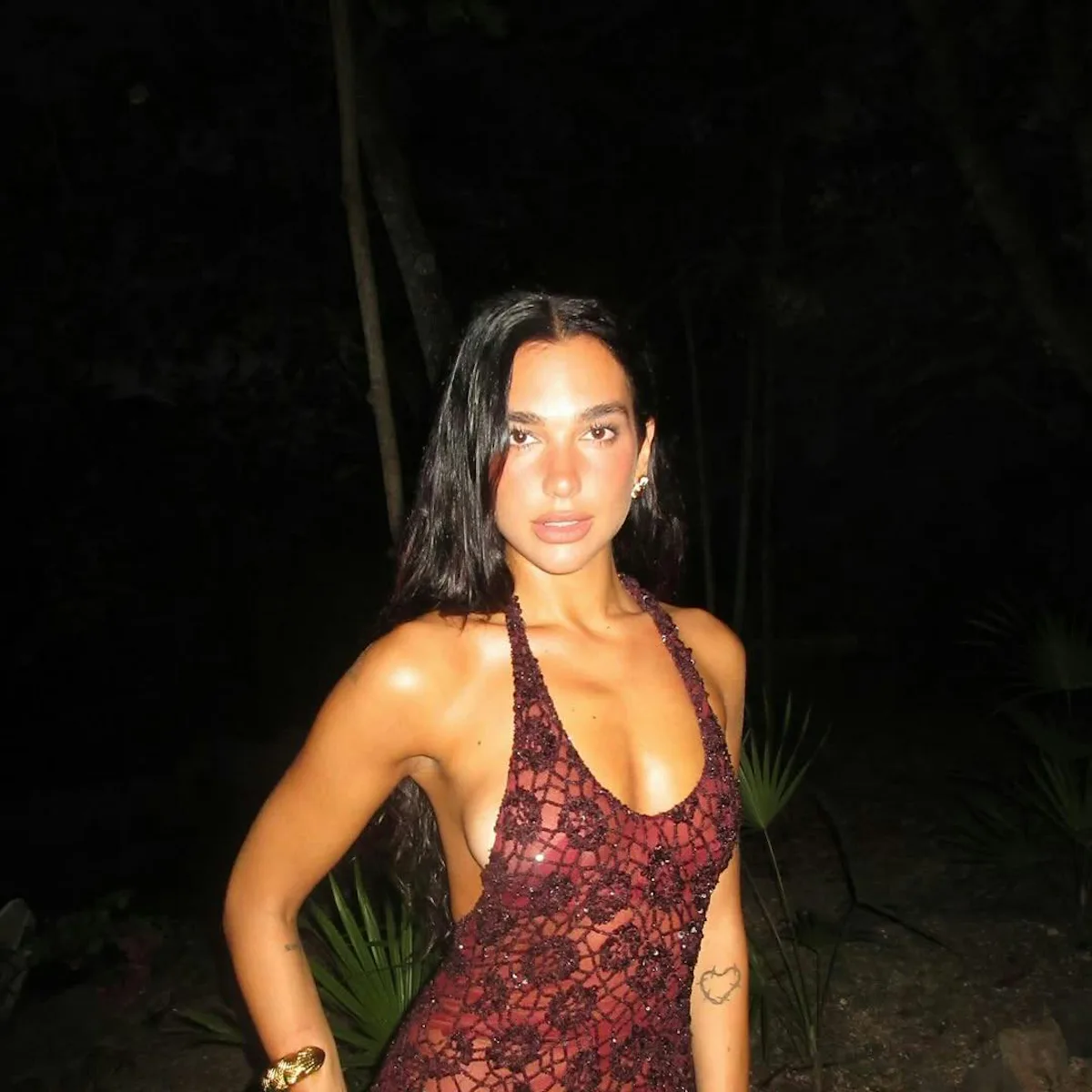 Dua Lipa Sizzles in Sheer Crochet Dress for Final 30th Birthday Celebration Dua Lipa Sizzles in Sheer Crochet Dress for Final 30th Birthday Celebration