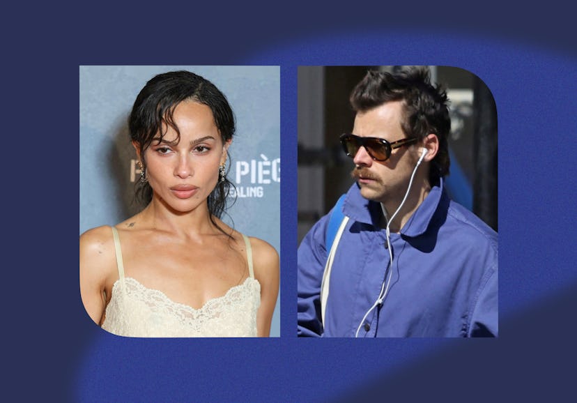 Zoe Kravitz & Harry Styles Spark Dating Rumors After Rome Outing