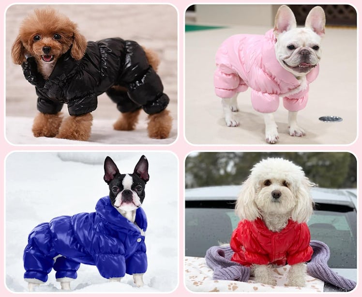AOFITEE Dog Coat