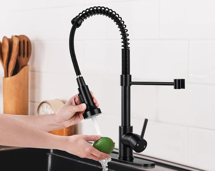 DJS Kitchen Faucets with Pull Down Sprayer