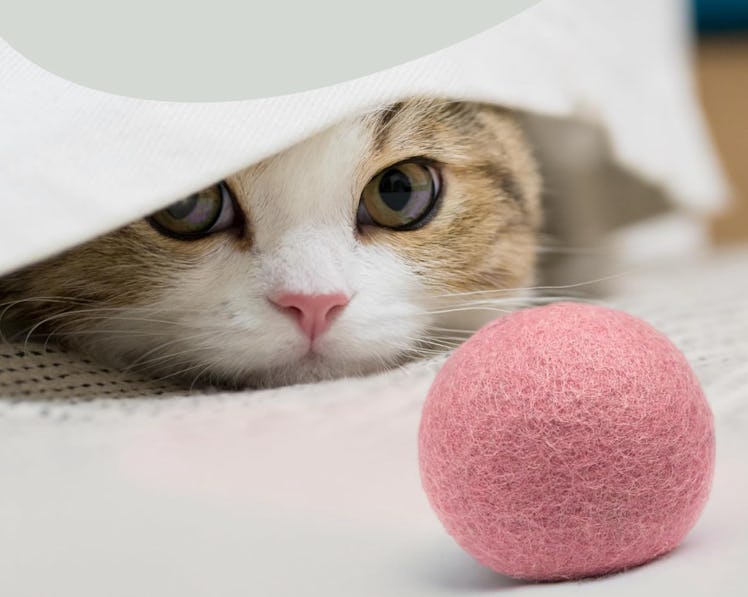 MEOWFIA Wool Ball Toys (6-Pack)