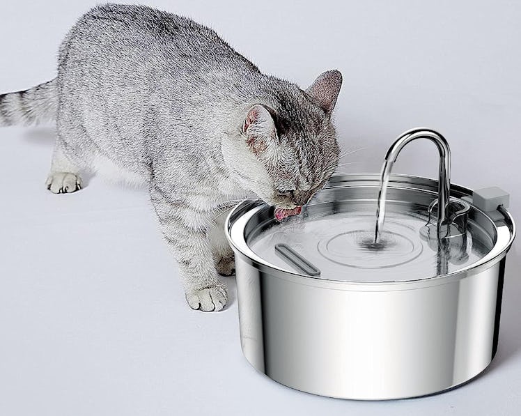 Tomxcute Cat Water Fountain