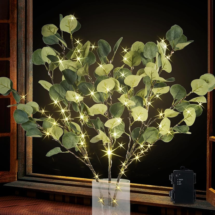 Bexdir Lighted Eucalyptus Branches With Timer