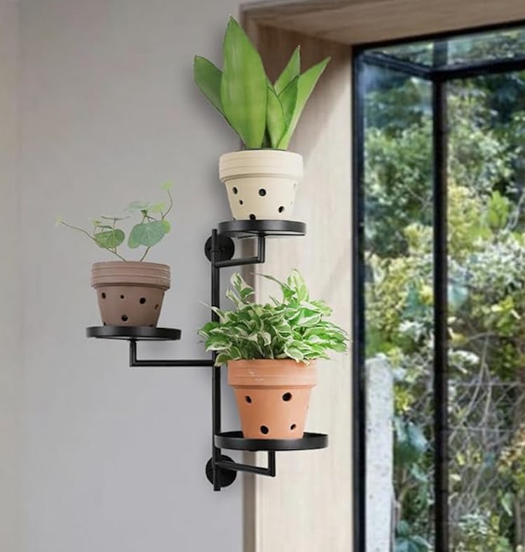YFFSRJDJ Rotating Window Wall Plant Shelves