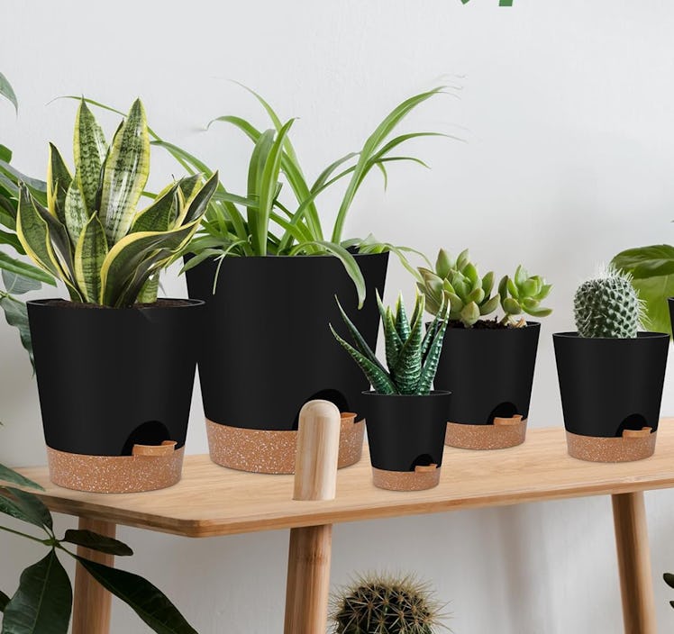 YNNICO Indoor Self Watering Planters (6-Pack)